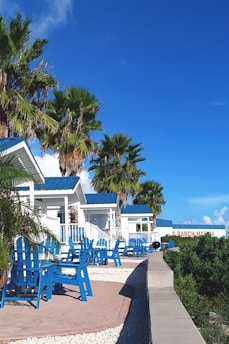 A row of small, white beach cottages with blue roofs and matching blue wooden chairs lined up along a stone walkway. Tall palm trees stand beside the cottages, and the sky is bright blue with a few clouds.
