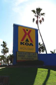 A large sign with a yellow background and red logo reads 'KOA Holiday' and lists amenities such as a pool, hot tub, Wi-Fi, propane, sunset deck, and pet playground. The sign is situated on a grassy area with several palm trees around, and the sunlight is visibly shining through the leaves of one of the trees.