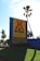 A large sign with a yellow background and red logo reads 'KOA Holiday' and lists amenities such as a pool, hot tub, Wi-Fi, propane, sunset deck, and pet playground. The sign is situated on a grassy area with several palm trees around, and the sunlight is visibly shining through the leaves of one of the trees.
