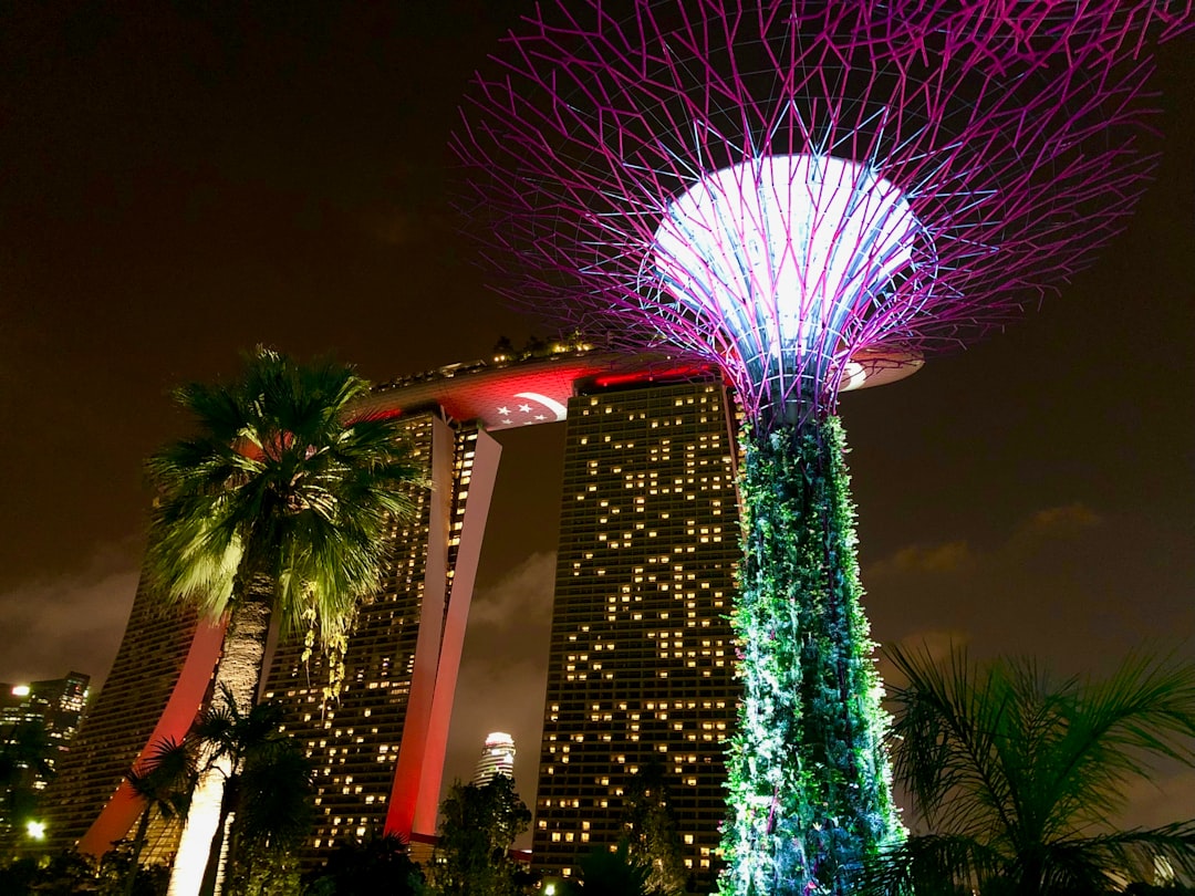 Landmark photo spot Garden by the Bay Marina Bay Sands