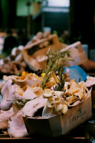 Workers carefully packing mushrooms into crates ready for export.