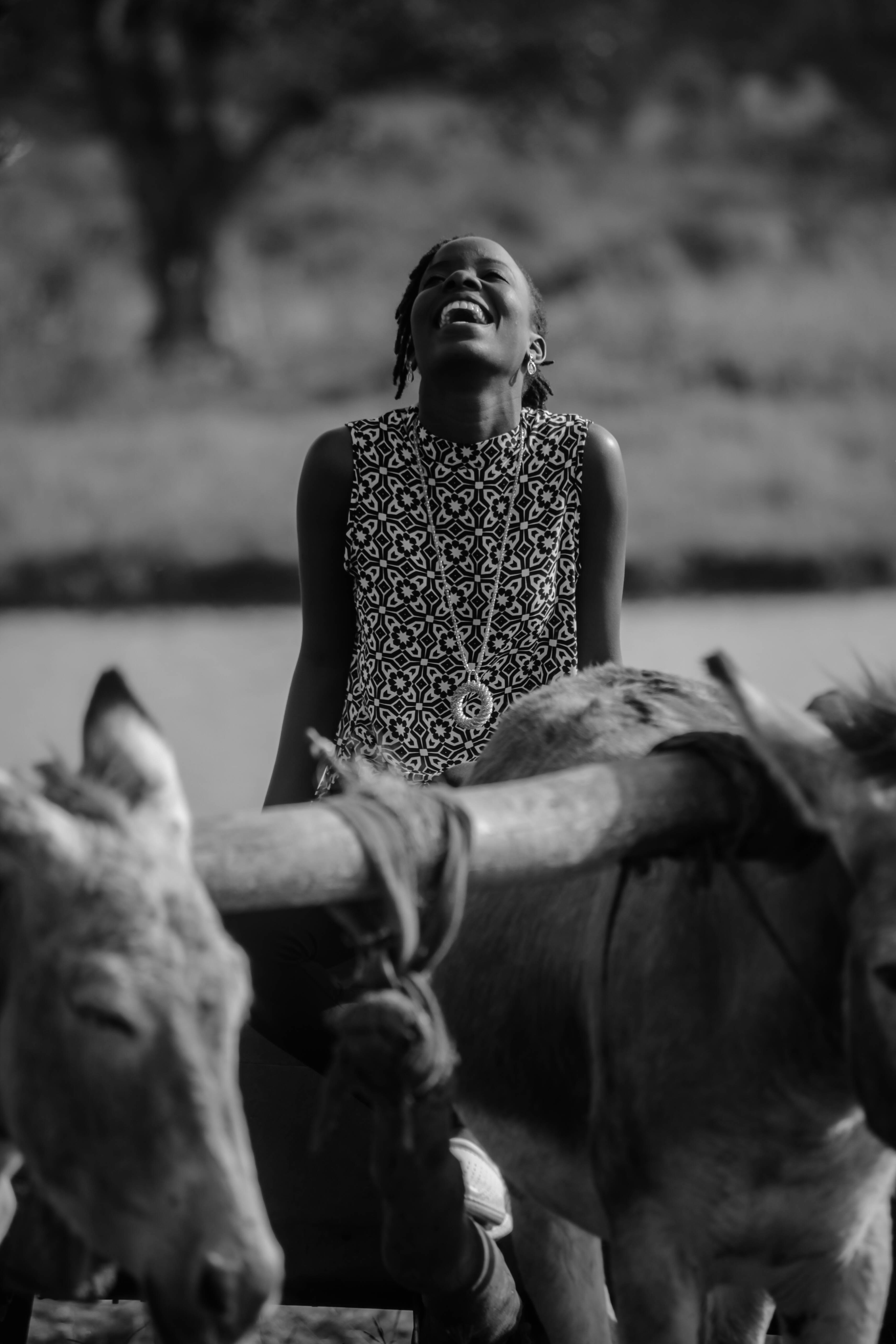 schwarz-weißes Blumentextil