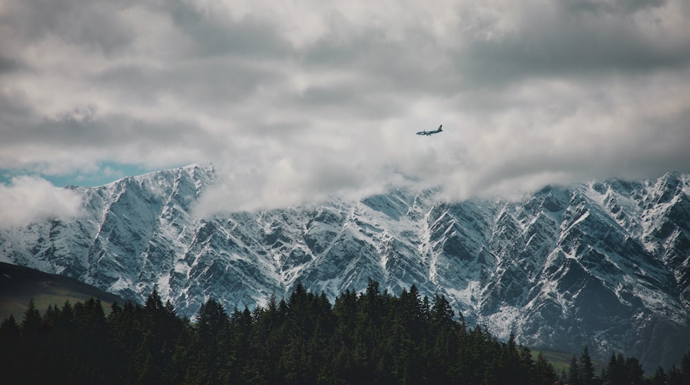 plane flying above forest