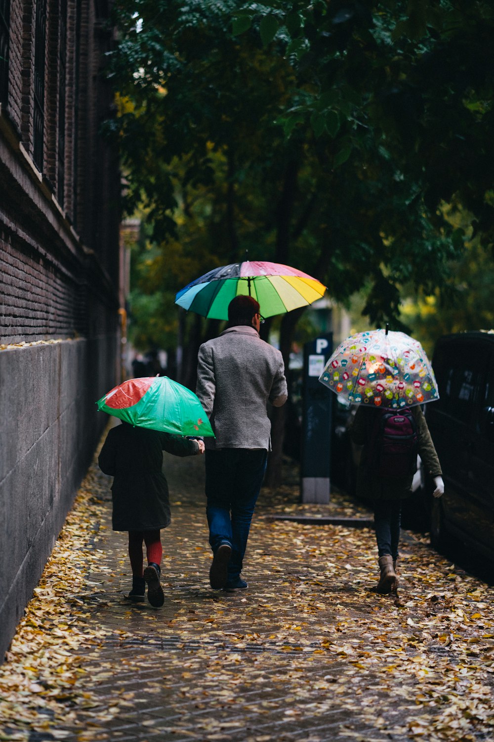 녹색 나무 근처에서 우산을 들고 걷는 세 사람