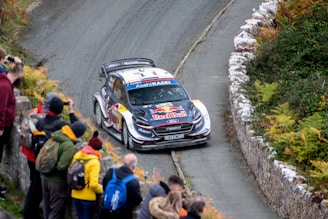 people watching passing race car