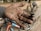 A hand covered in dirt and grease is prominently holding a small metal object, possibly a nut or bolt. In the background, there are bicycles, one of which seems to have parts disassembled. The hand's positioning suggests the person might have been working on repairing or maintaining the bicycles.