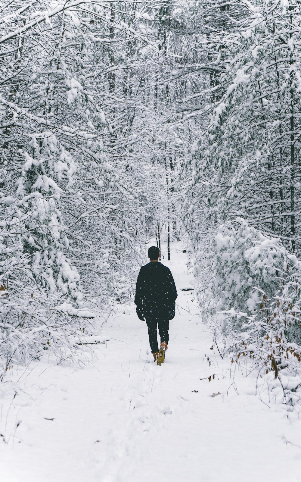 man walking on snow covered field surrounded by trees