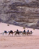 A group of camels with riders is traversing a sandy desert landscape with rocky cliffs in the background. The scene is serene and the camels are adorned with saddles. Sparse vegetation, including small bushes, is scattered across the pinkish sand.