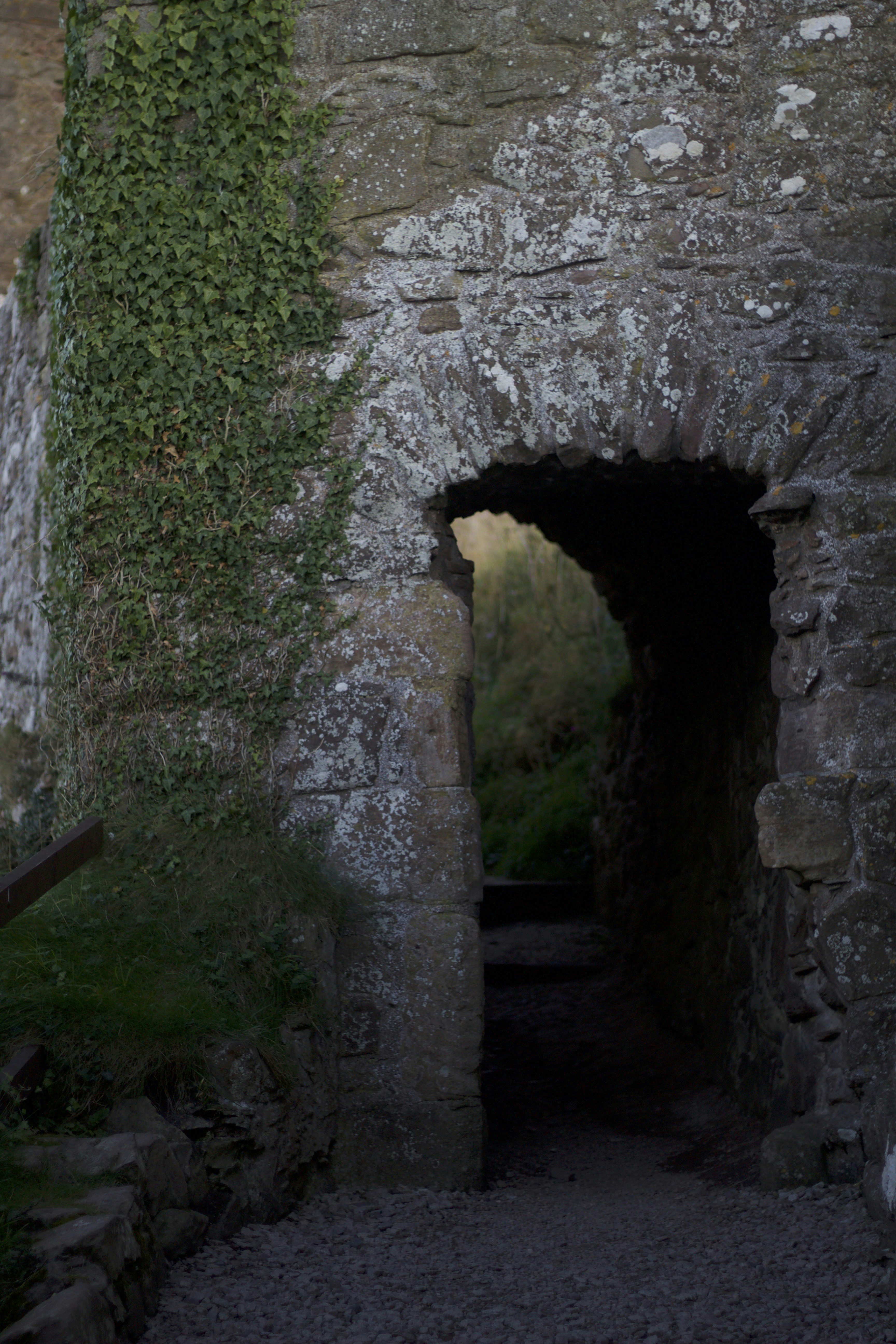 Photo by dani_hammond