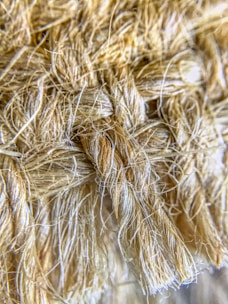 Close-up of soft, natural yarn spun from banana stem fibers in warm sunlight.
