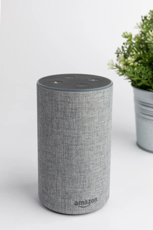 A minimalist smart speaker with touch controls sitting beside a cozy plant.