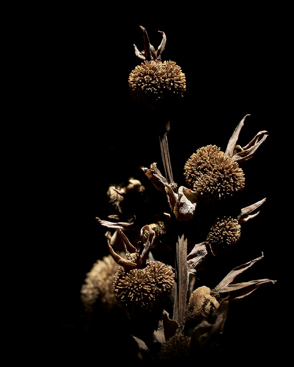 decoração de flores pretas e brancas