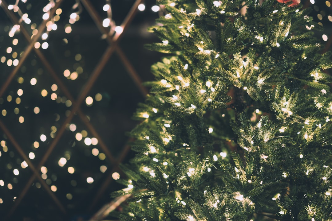 green Christmas tree with string lights, Blurred Holiday Reflections