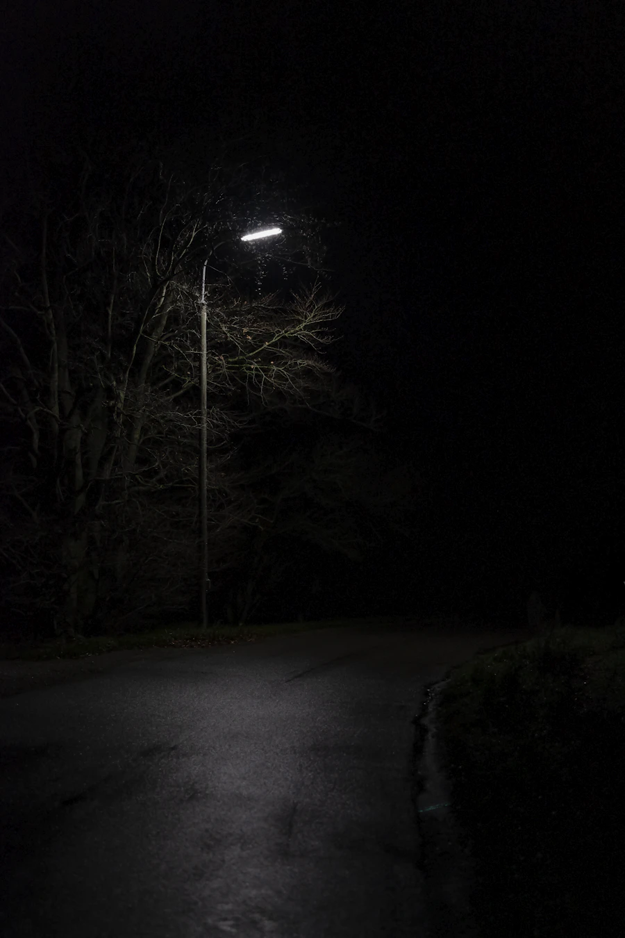 Row of street lights along an empty road at night, receding into the distance