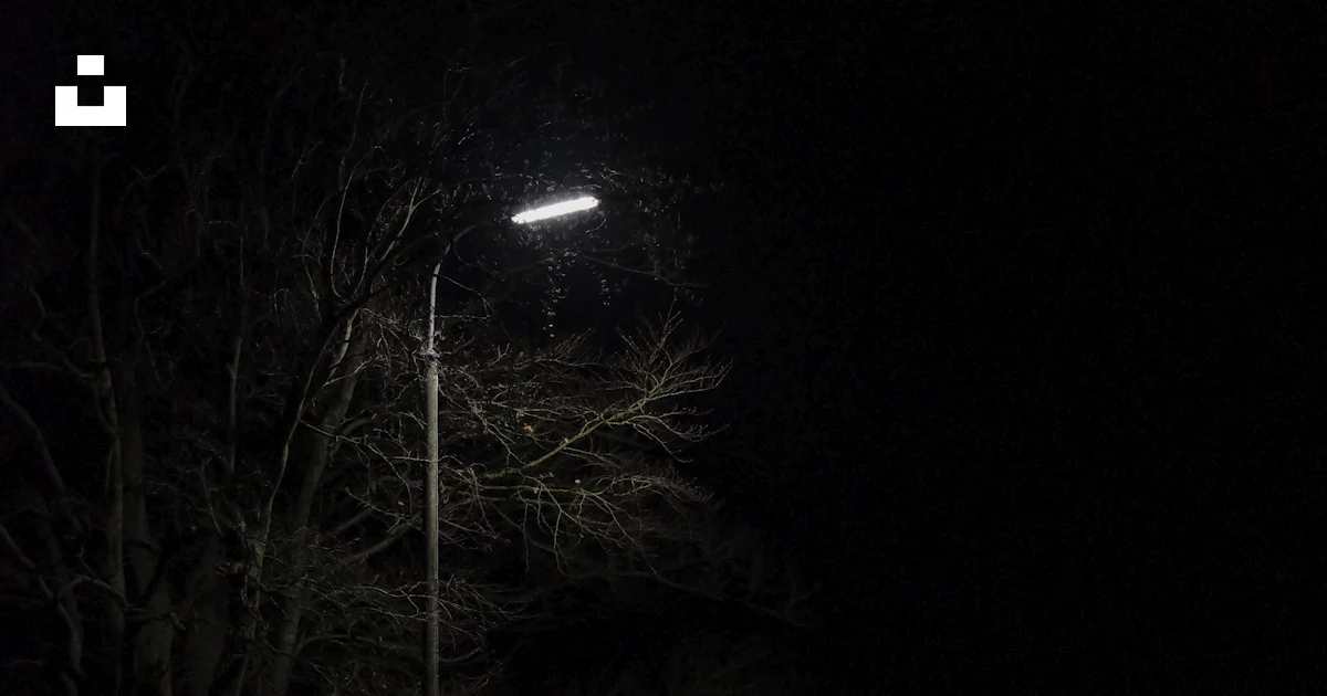 街灯の下の空っぽの道路の眺めの写真 – Unsplashの無料夜写真