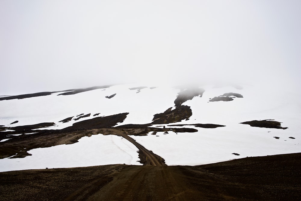 landscape photography of farm road