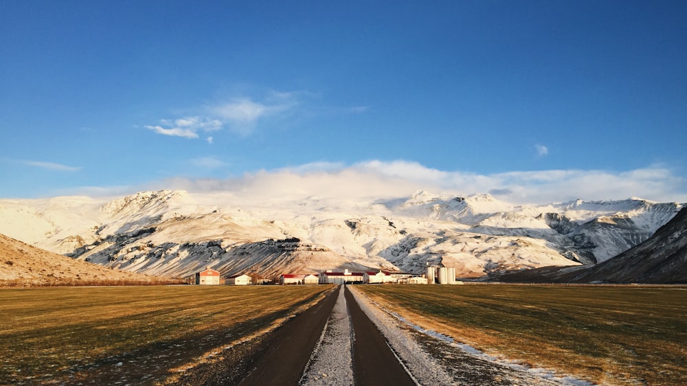 green field with the distance of mountain covered by snow at daytime