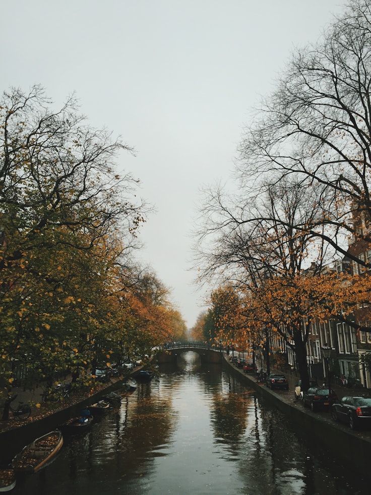 Autumn Facts - Amsterdam, Netherlands