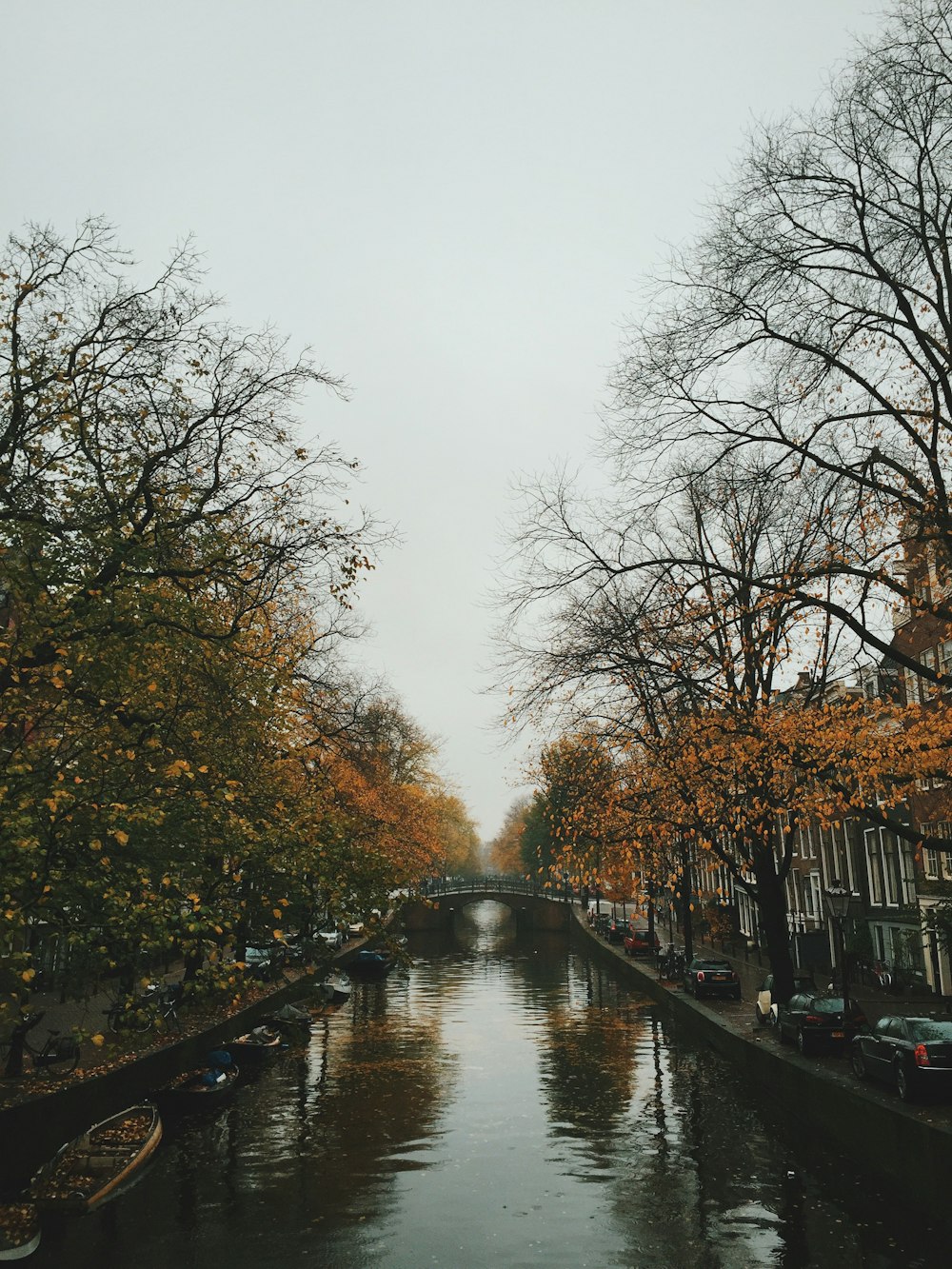 river with boats near trees