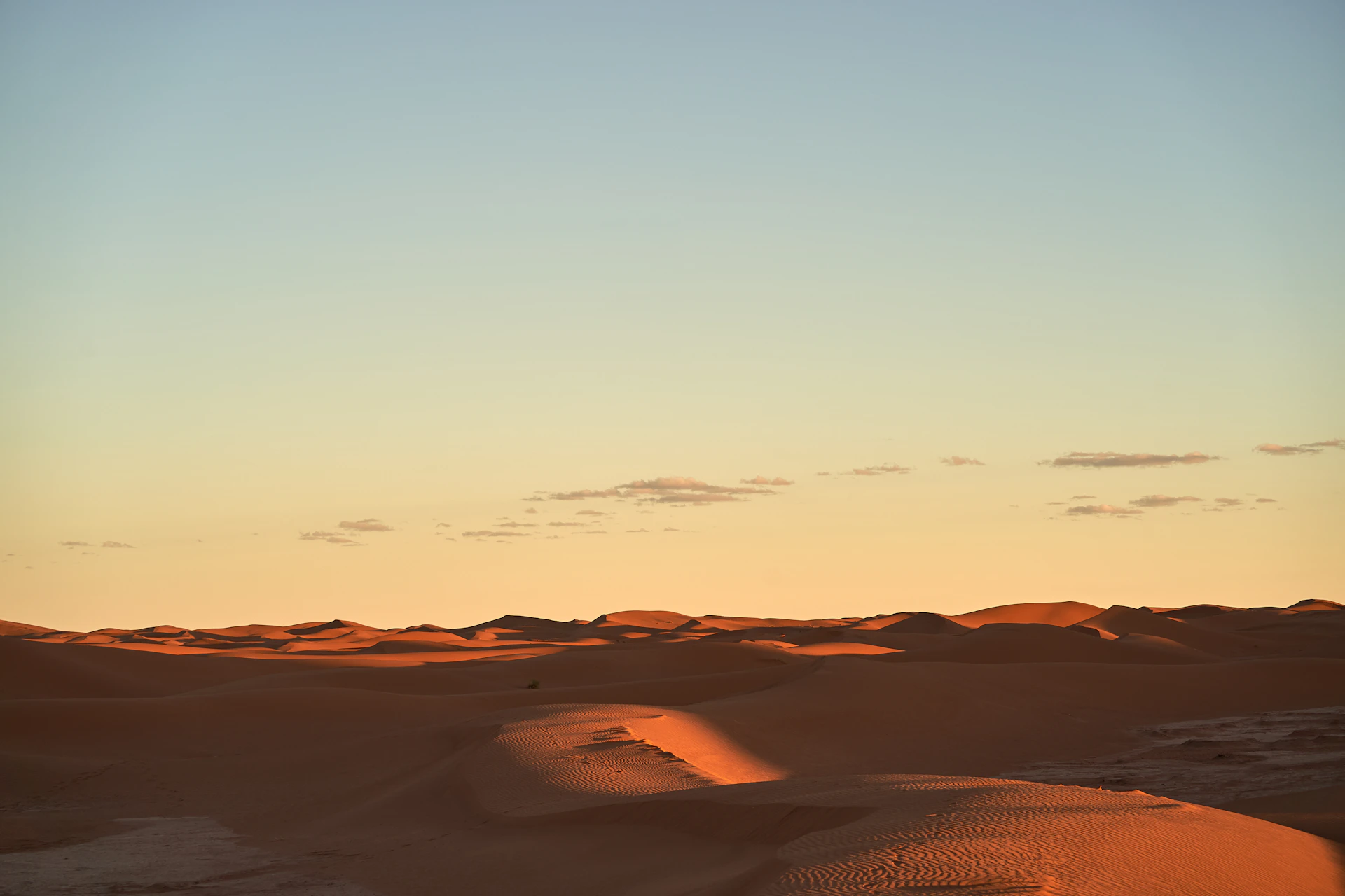 empty sand dune