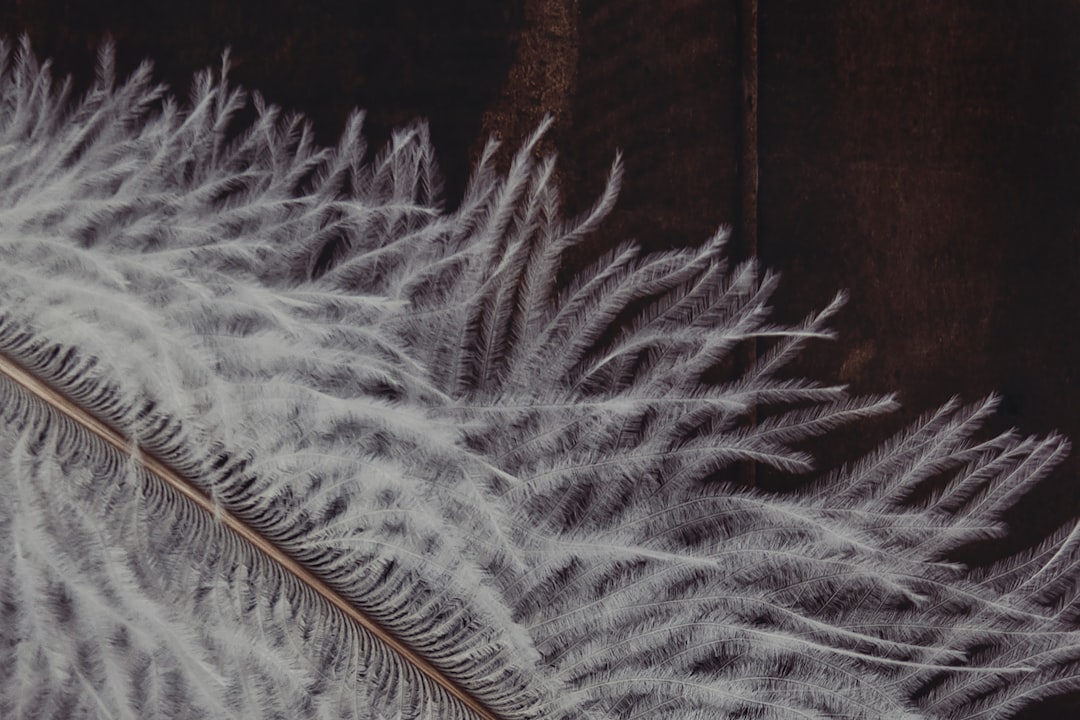 white fuzzy textile