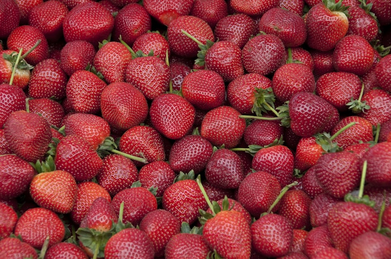 Fraises fraîches aux bienfaits pour la peau - vitamine C et antioxydants naturels