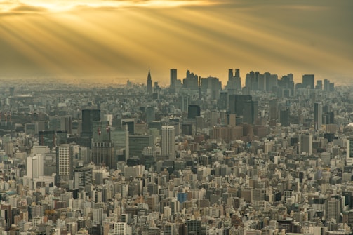 Wide-angle shot of a bustling cityscape at golden hour.