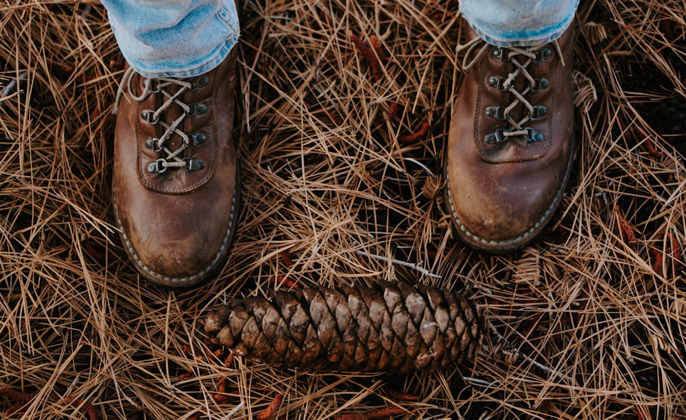 brown pinecone