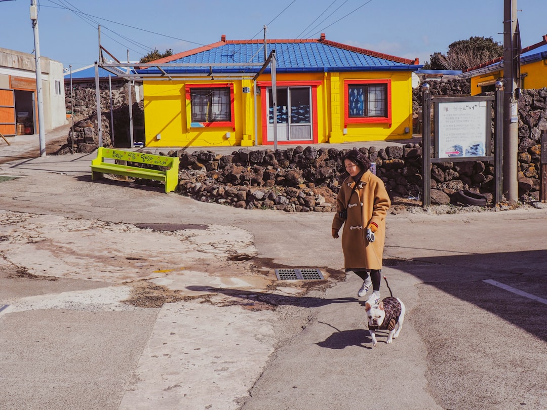 woman walking with dog on street near house, Girl and Dog walking on Jeju
