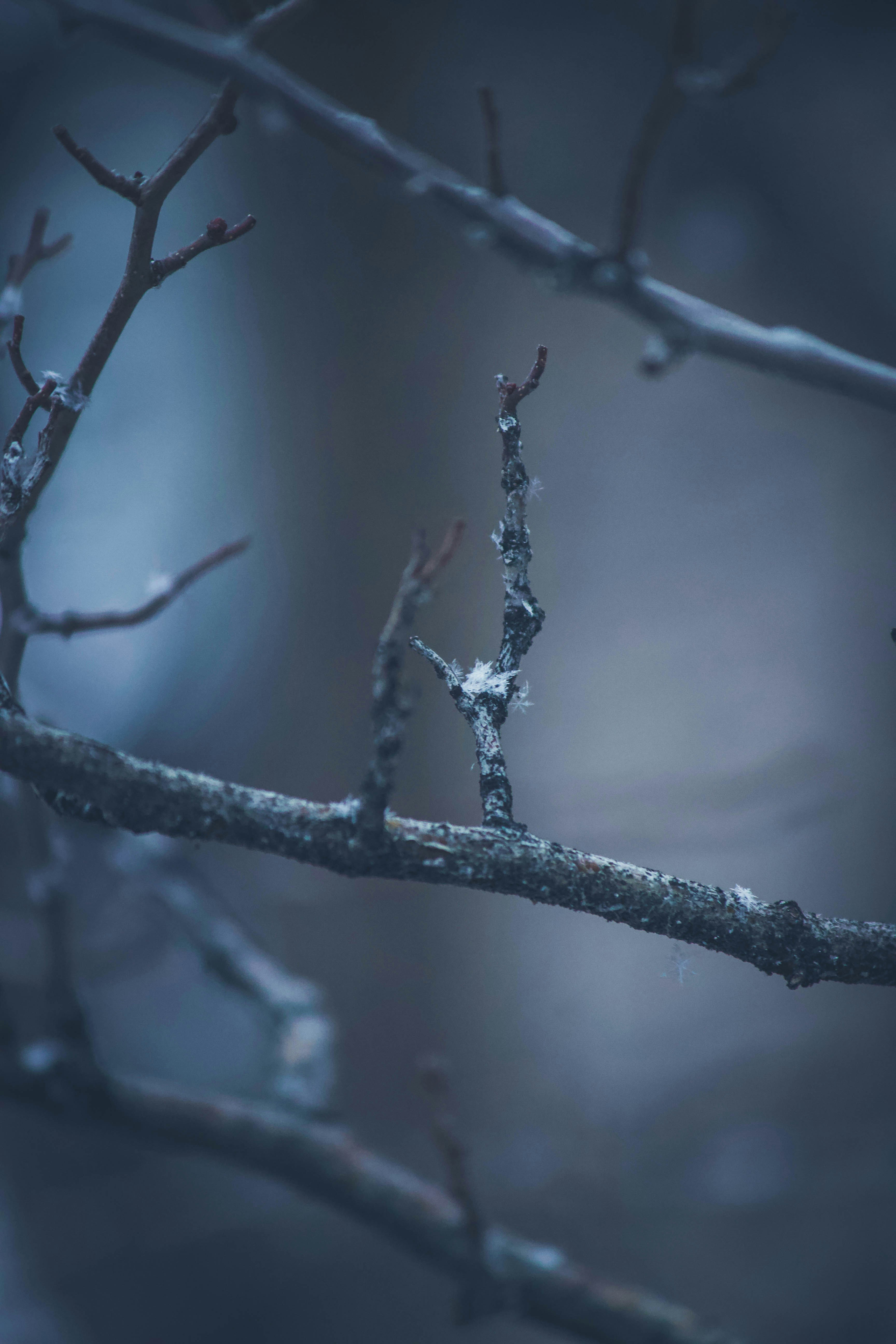 Photo by jessicalfadel