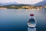 A plastic water bottle with a red cap stands prominently in the foreground, set against the backdrop of a calm, expansive body of water. The distant landscape features a lush, green skyline with blurry mountains under a clear blue sky.