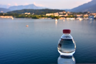 A plastic water bottle with a red cap stands prominently in the foreground, set against the backdrop of a calm, expansive body of water. The distant landscape features a lush, green skyline with blurry mountains under a clear blue sky.