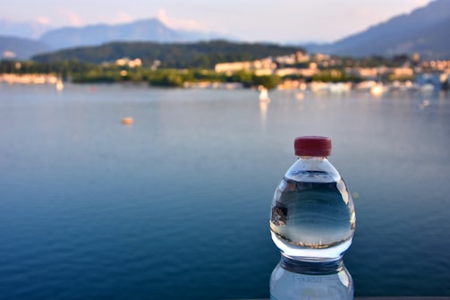 A plastic water bottle with a red cap stands prominently in the foreground, set against the backdrop of a calm, expansive body of water. The distant landscape features a lush, green skyline with blurry mountains under a clear blue sky.