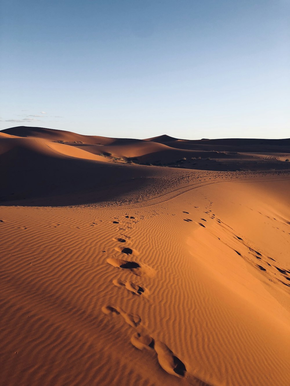 Traces de pas dans le sable du désert