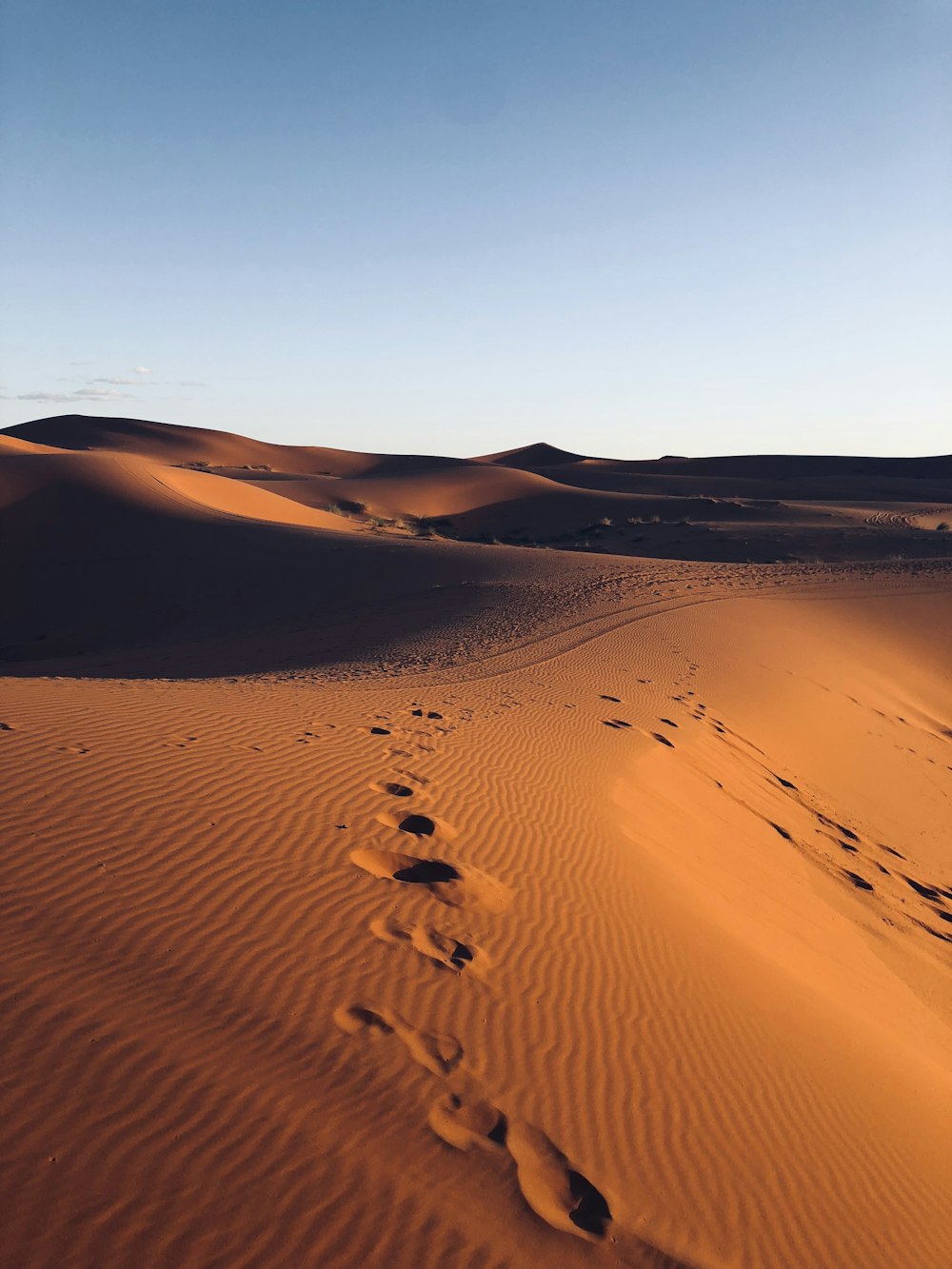footsteps in sand of desert