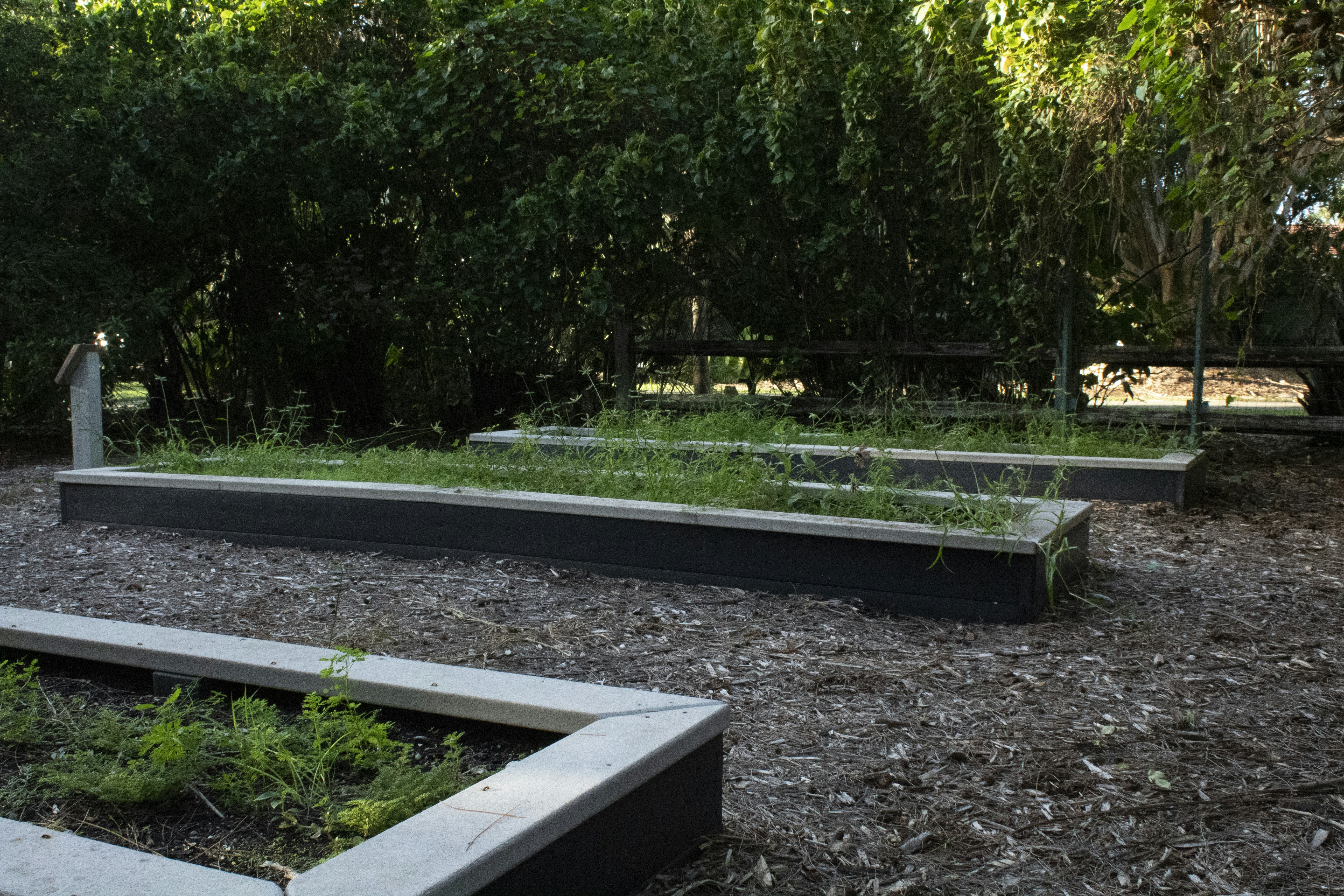 Raised bed vegetable gardening - Mulching helps conserve moisture and suppress weeds