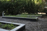 Several rectangular raised garden beds filled with soil and young plants are surrounded by a layer of mulch. Lush green foliage creates a dense backdrop with filtered sunlight shining through the leaves.