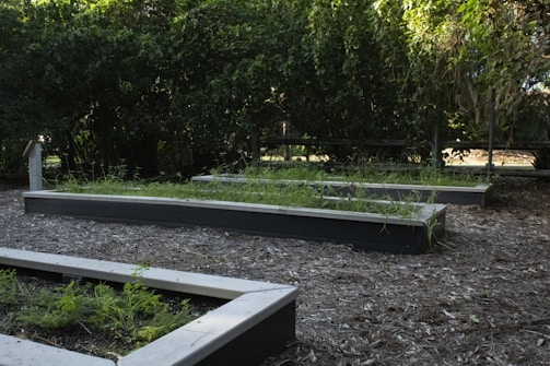 Several rectangular raised garden beds filled with soil and young plants are surrounded by a layer of mulch. Lush green foliage creates a dense backdrop with filtered sunlight shining through the leaves.