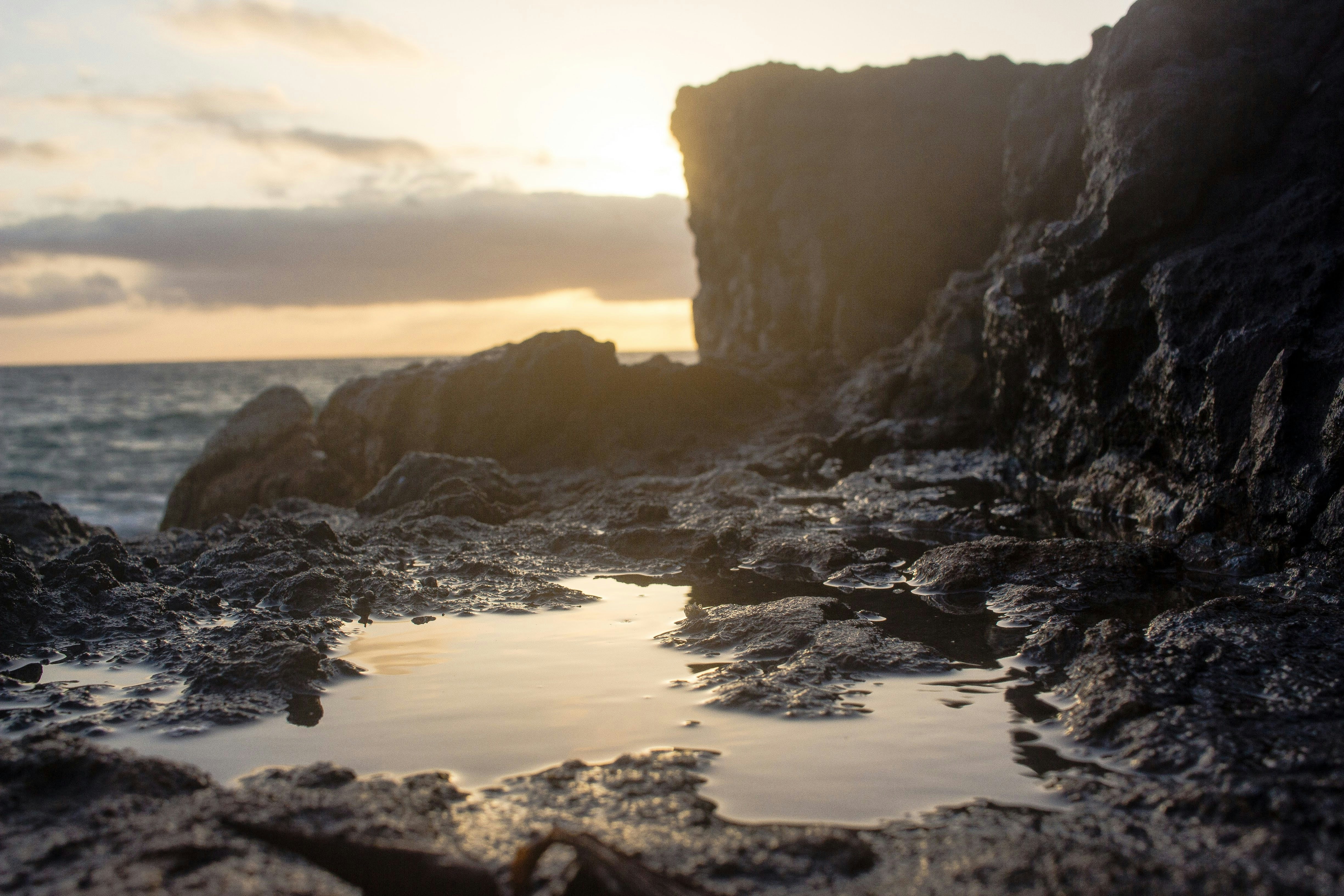 Photo by art_of_broll