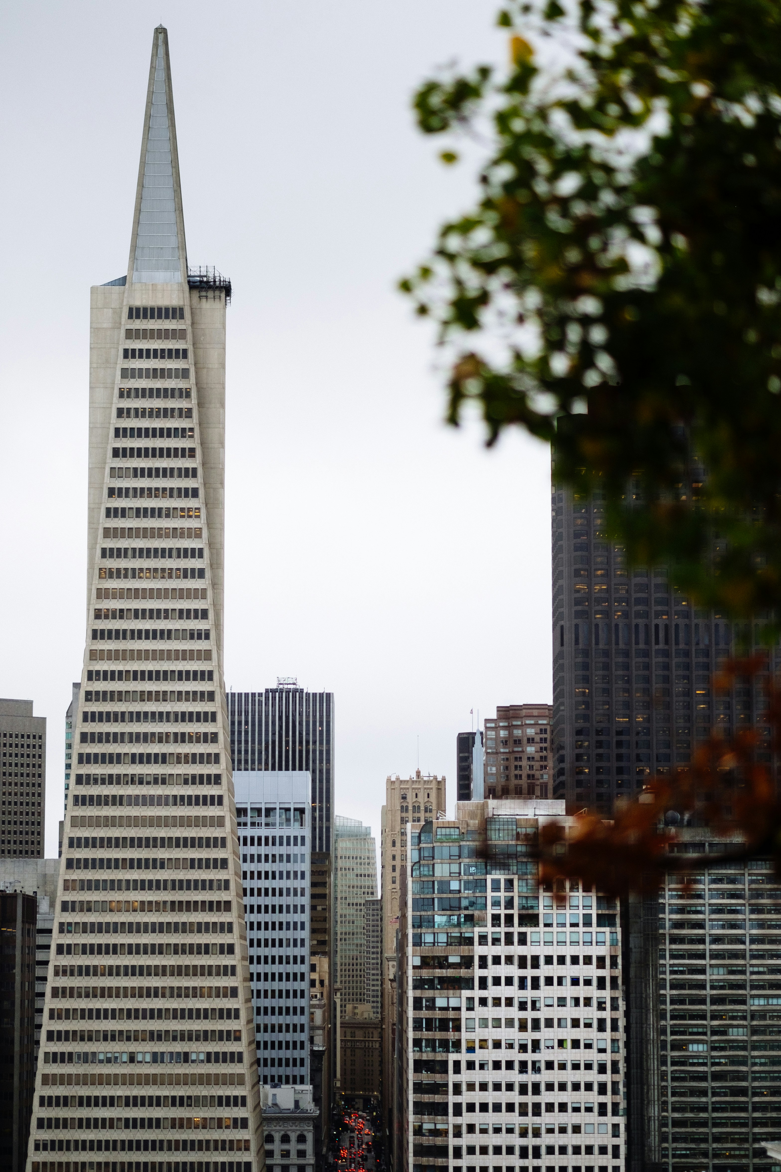 Photo by johngibbons