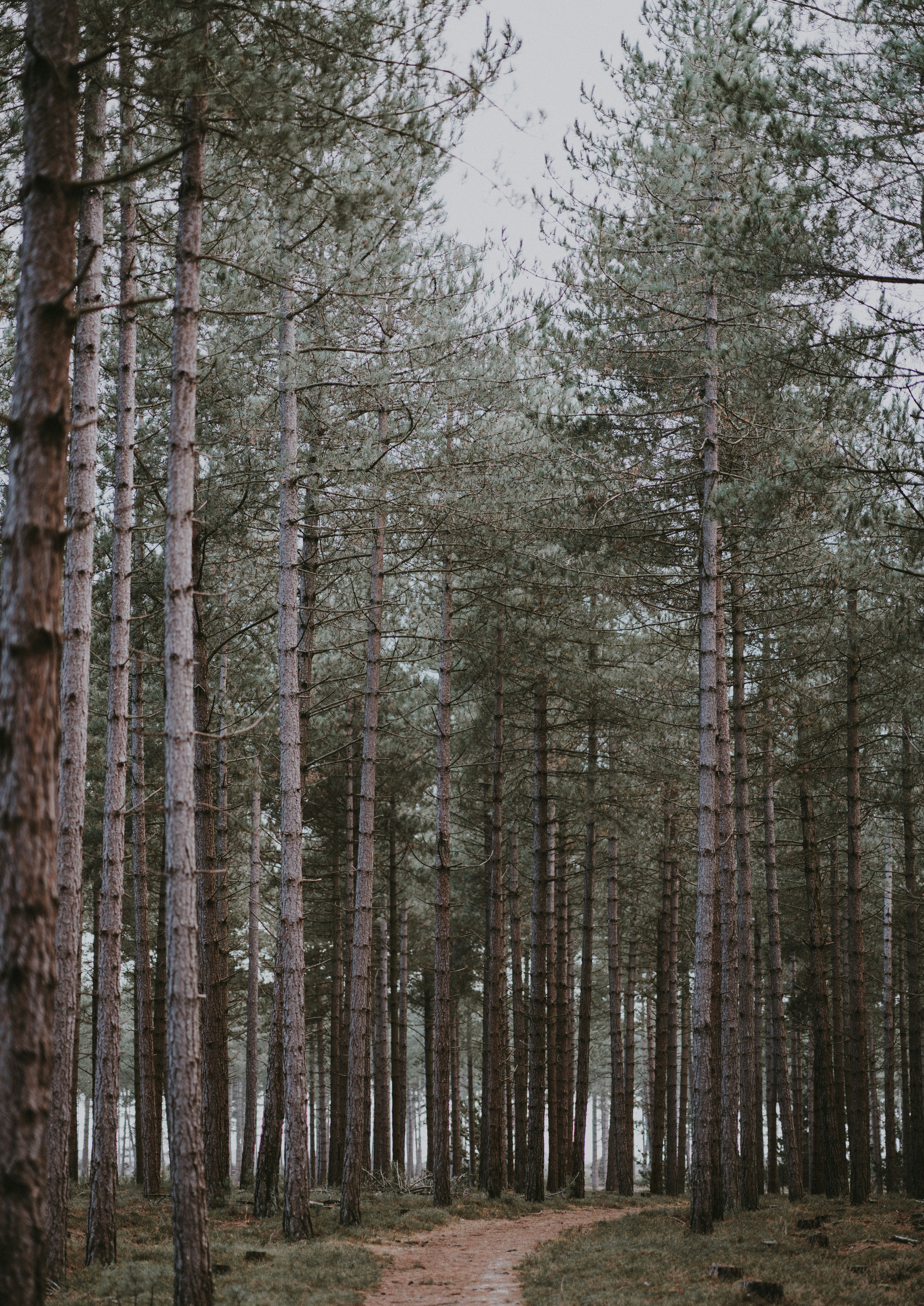 Photo by anniespratt