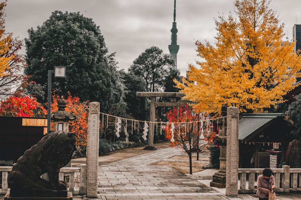 woman standing near temple gate