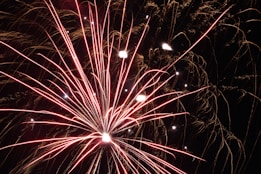 Bright colorful fireworks burst against a dark sky. The fireworks display intricate patterns with vivid red and orange streaks radiating outward.