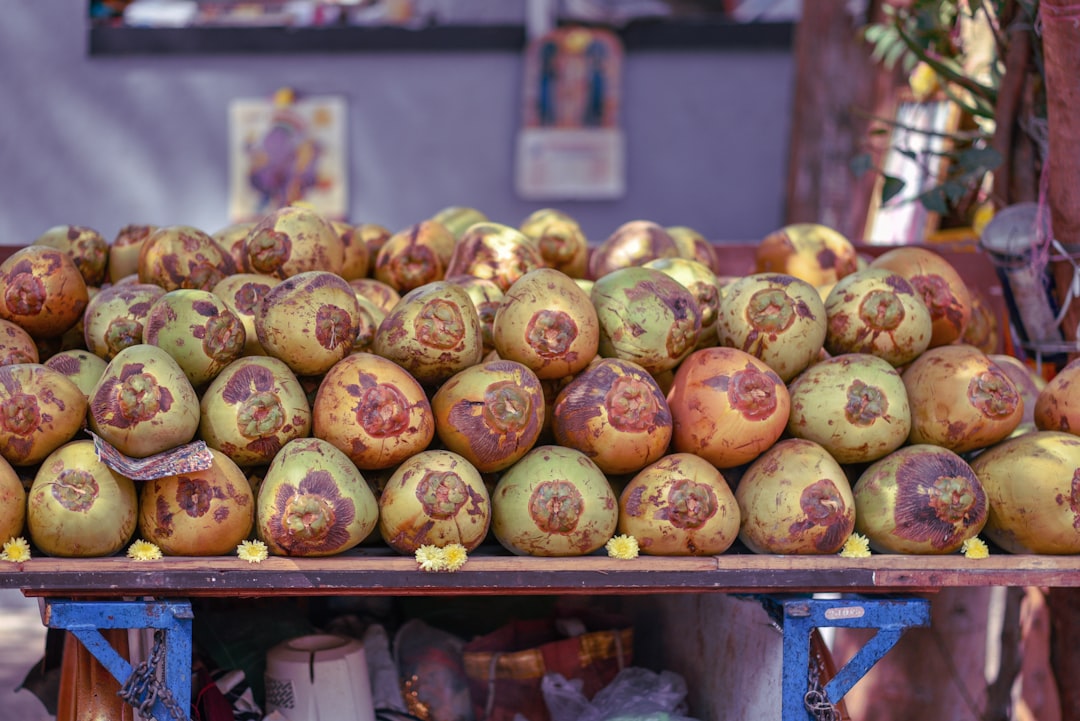 coconut fruits