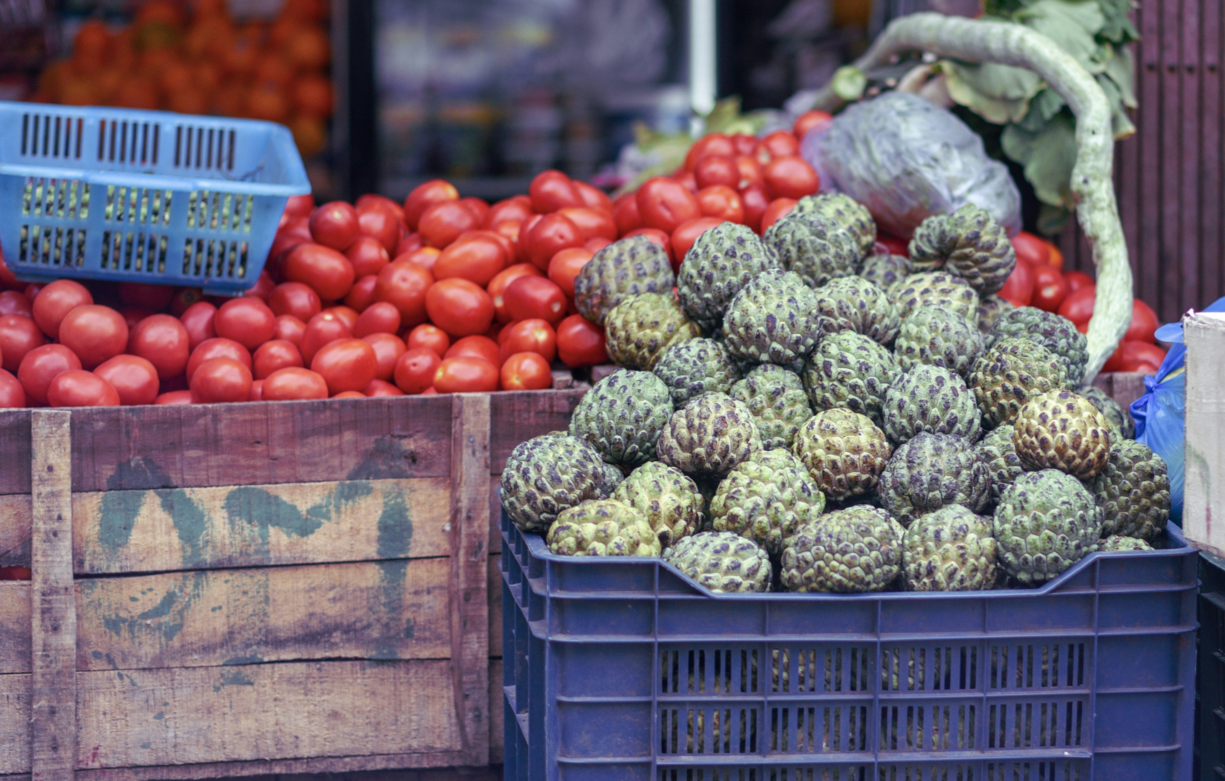 Photo by timesofwander