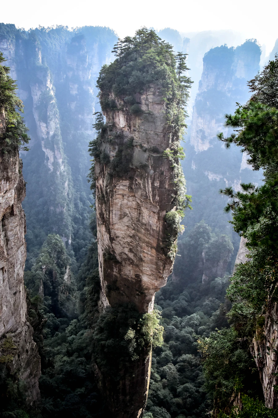 Avatar Hallelujah Mountain sandstone pillar rising freestanding from the forested canyon floor