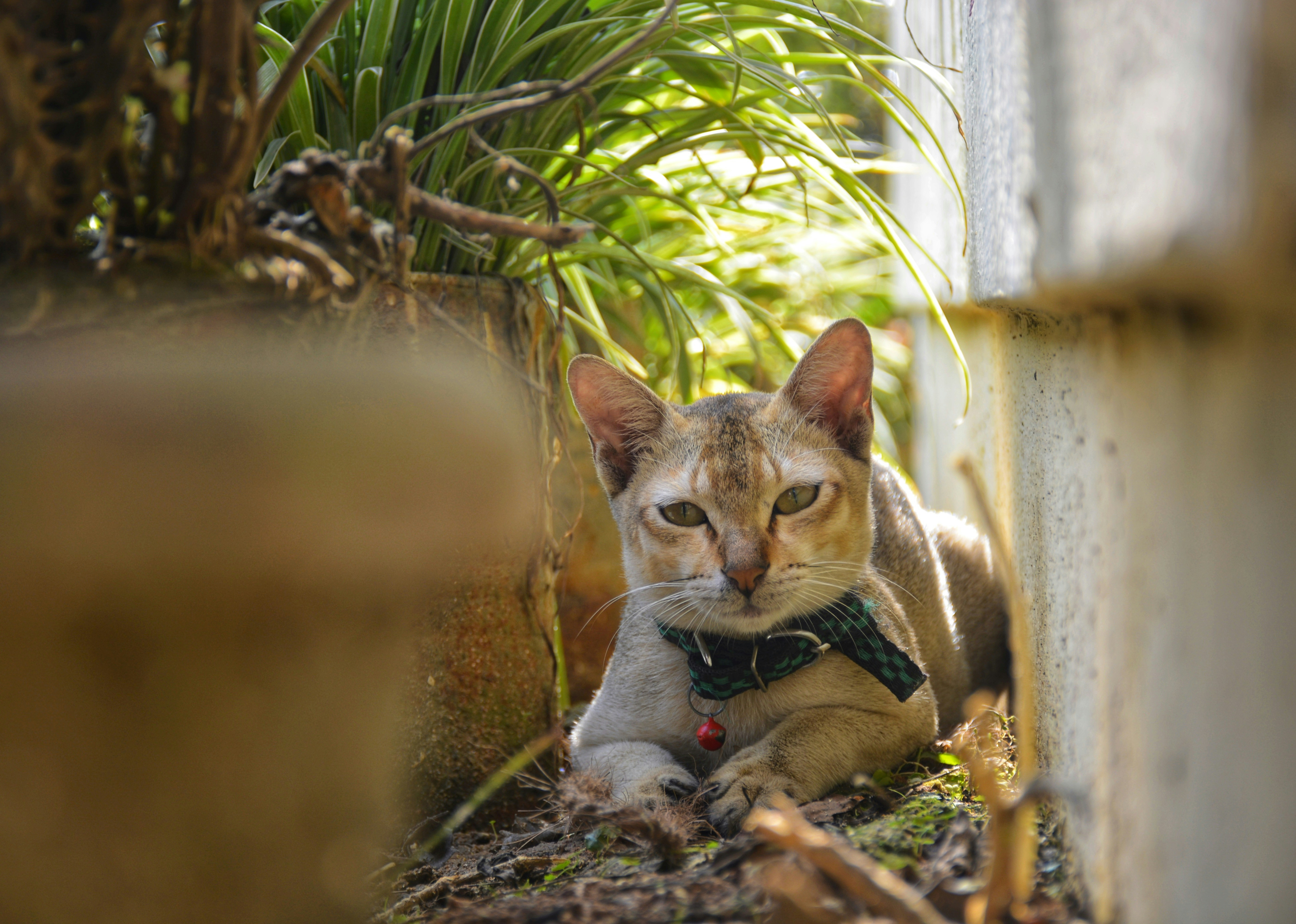 Photo by martianmonk