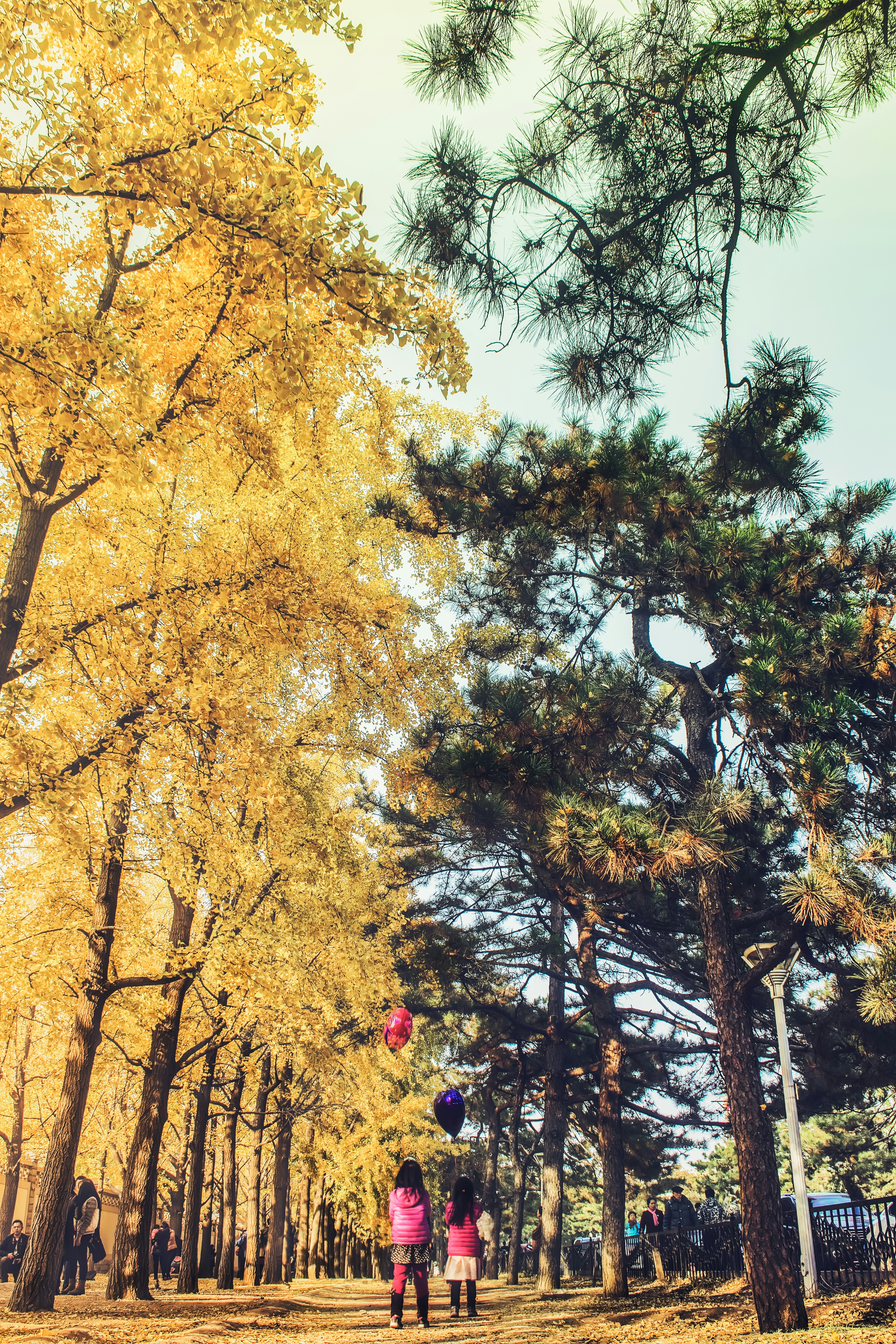 Photo by zhangkaiyv
