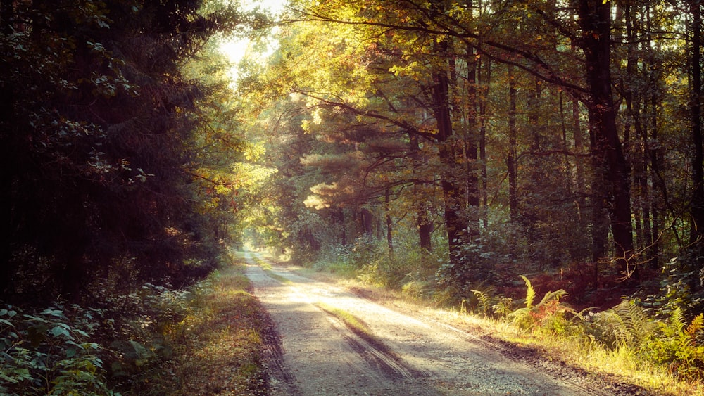 green-leafed trees