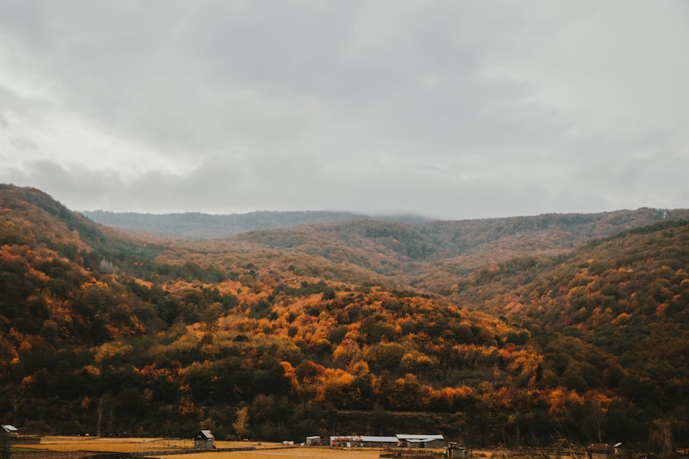 green-covered mountains during daytime